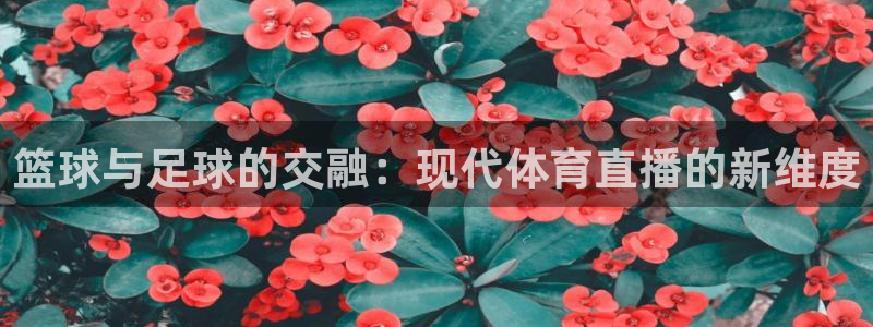 篮球与足球的交融：现代体育直播的新维度
