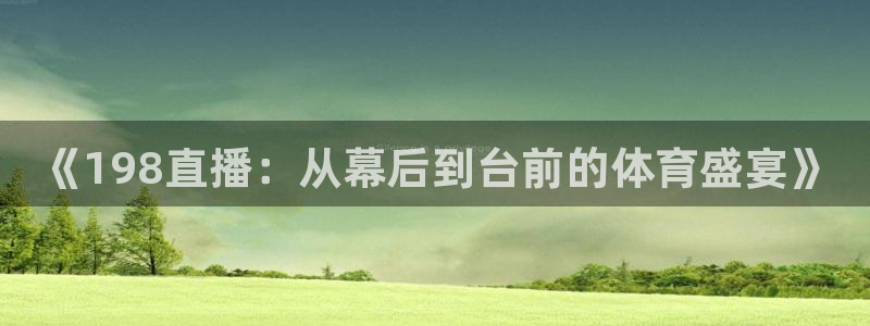 《198直播：从幕后到台前的体育盛宴》