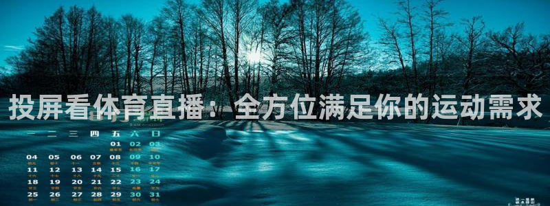 投屏看体育直播：全方位满足你的运动需求