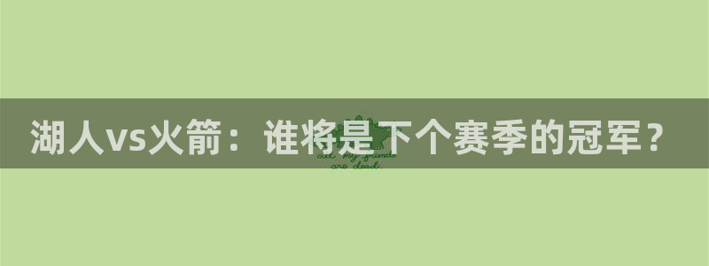 湖人vs火箭：谁将是下个赛季的冠军？