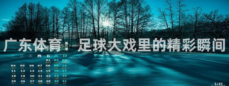广东体育：足球大戏里的精彩瞬间