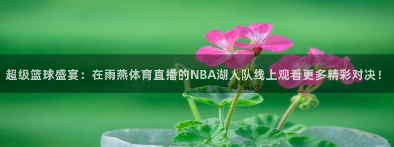 超级篮球盛宴：在雨燕体育直播的NBA湖人队线上观看更多精彩对决！
