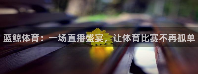 蓝鲸体育：一场直播盛宴，让体育比赛不再孤单