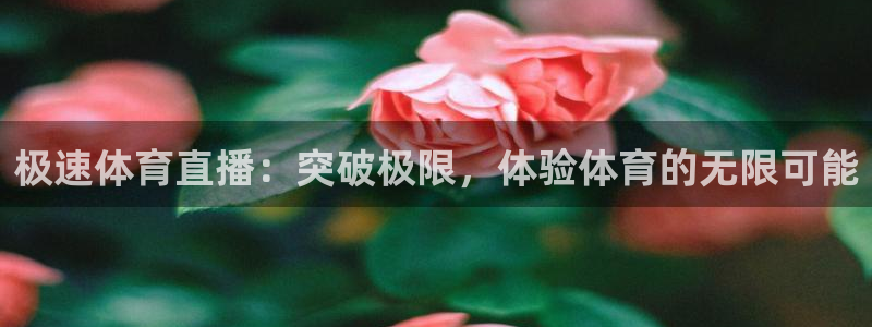 极速体育直播：突破极限，体验体育的无限可能
