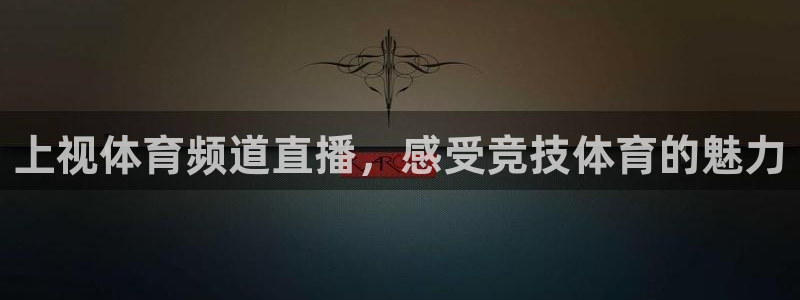 上视体育频道直播，感受竞技体育的魅力