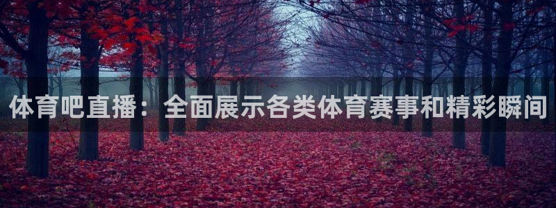 体育吧直播：全面展示各类体育赛事和精彩瞬间