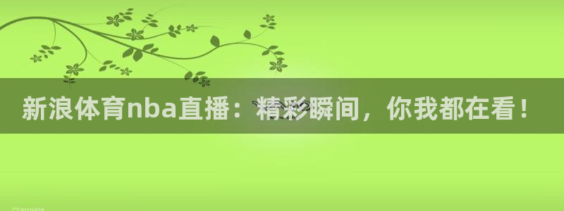 新浪体育nba直播：精彩瞬间，你我都在看！