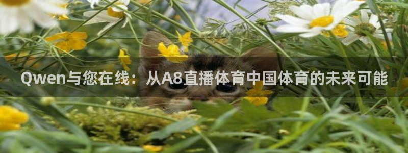 Qwen与您在线：从A8直播体育中国体育的未来可能