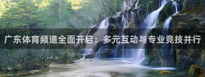 广东体育频道全面开启：多元互动与专业竞技并行