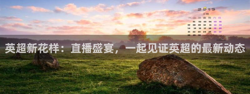 英超新花样：直播盛宴，一起见证英超的最新动态