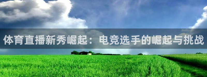 体育直播新秀崛起：电竞选手的崛起与挑战