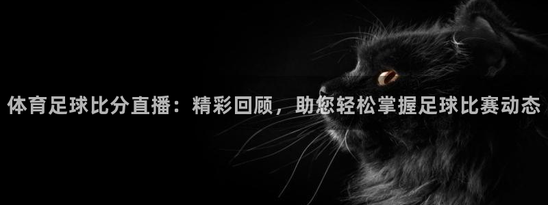 体育足球比分直播：精彩回顾，助您轻松掌握足球比赛动态