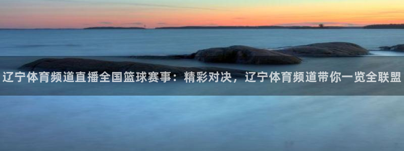 辽宁体育频道直播全国篮球赛事：精彩对决，辽宁体育频道带你一览全联盟