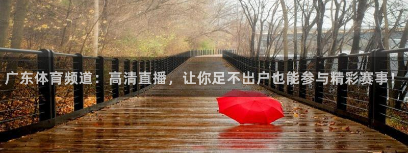 广东体育频道：高清直播，让你足不出户也能参与精彩赛事！