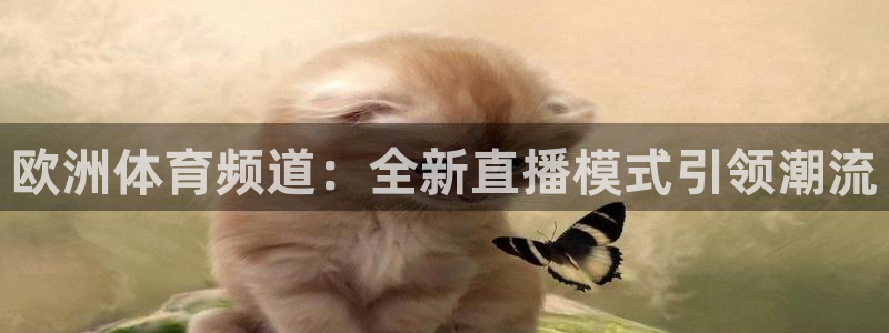 欧洲体育频道：全新直播模式引领潮流