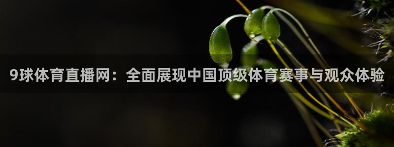 9球体育直播网：全面展现中国顶级体育赛事与观众体验